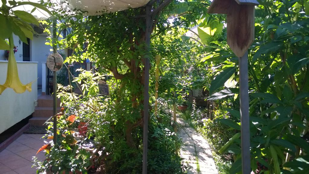 B&B Mare E Sole Bríndisi Exterior foto